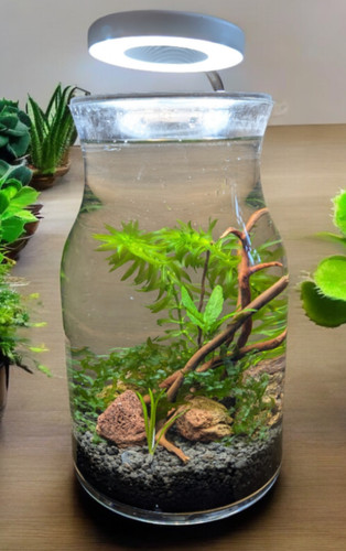 Self sustaining ecosphere - self,