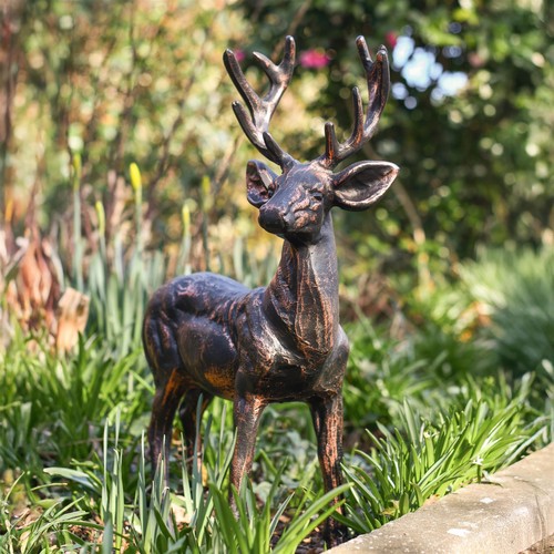 Stunning standing buck deer - standing,