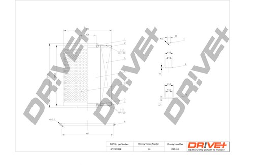 Dp1110 11 0248 - dr!ve+, oil