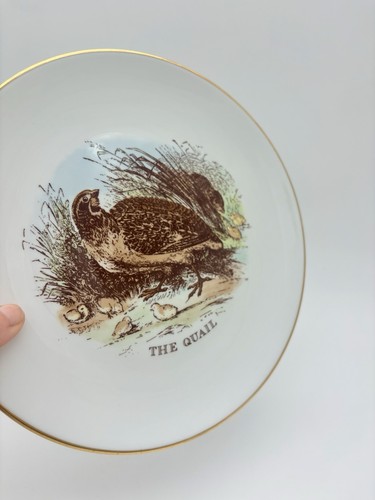 Vintage royal worcester - royal,