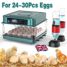 24/36x Eggs Fully Automatic