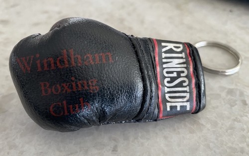 Vintage 1990s ringside - 1990s,