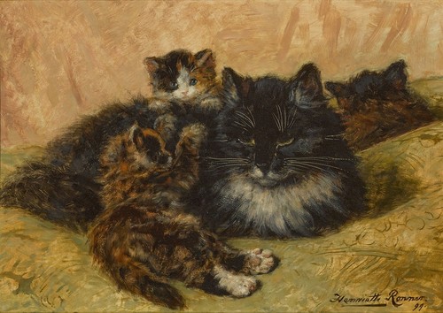 Henriette ronner knip - henriette,