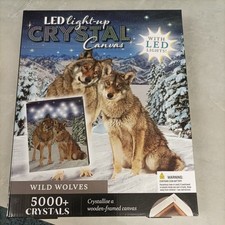 New Light-Up Crystal Canvas