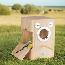 Vertical parrot nest breeding - nest,
