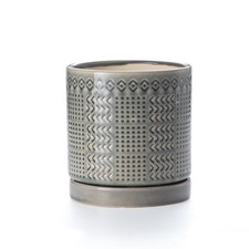 Indoor-Outdoor Ceramic Plant