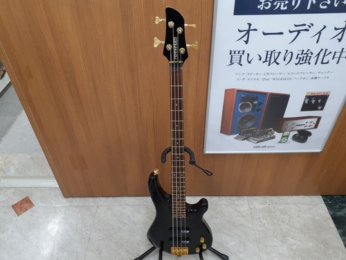 Fernandes electric bass and