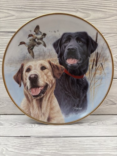 Labrador dogs porcelain plate - labrador,