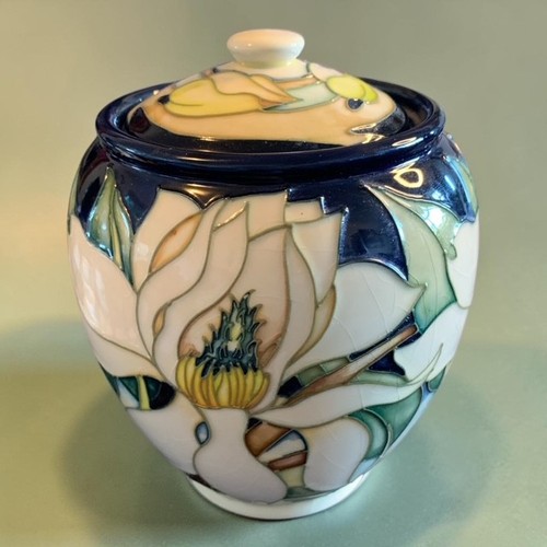 Moorcroft magnolia ginger - moorcroft, "magnolia"