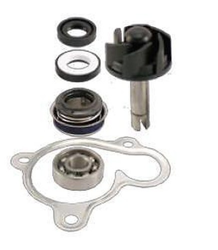 Water pump revision - revision, yamaha