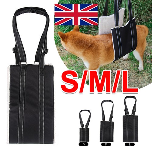 Pet dog mobility aids - dog, support