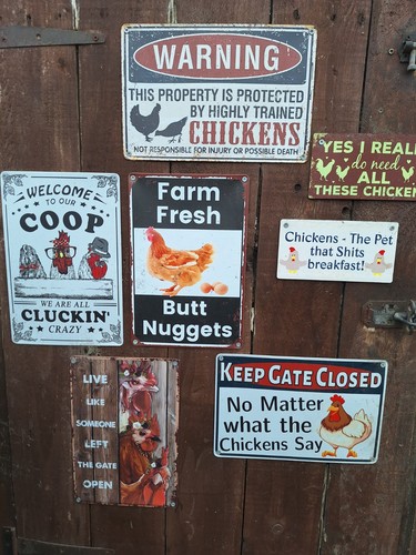 Assorted funny hen signs - assorted,