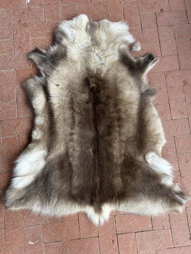 Reindeer hide from iceland - hide,