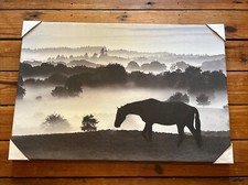 Canvas Horse Art Print | Black