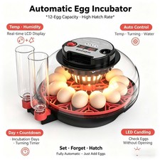 Eggs fully automatic - 12,