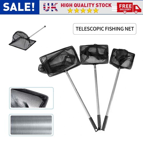 Aquarium telescopic fish - aquarium,
