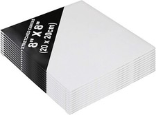 12 Blank Artist Canvas Set 20x20cm Large Plain Painting Boards Stretched/Framed