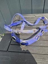 Blue Nylon Lunging  Cavesson