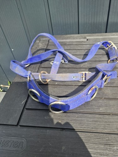Blue nylon lunging cavesson - nylon,