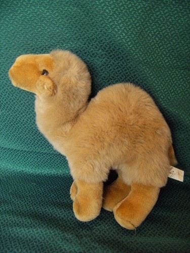 Gulf greetings camel soft - camel, toy