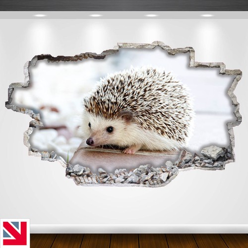 Adorable baby hedgehog animal - adorable,