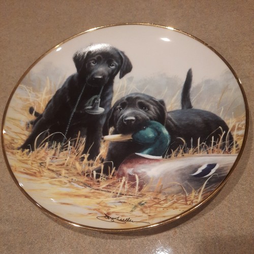 Franklin mint black labrador - mint,