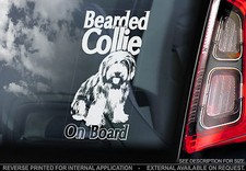 Bearded Collie - Car Window
