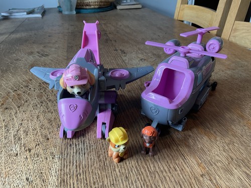 Paw patrol skye - patrol, skye’s