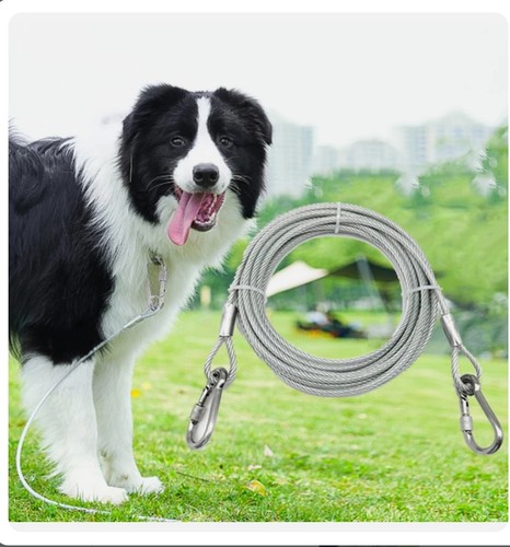 Dog tie out cable - dog,