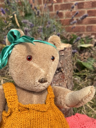 Teddy bear old - bear,