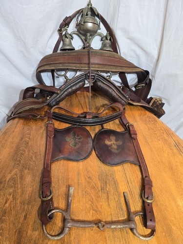 Antique horse cart driving - cart,