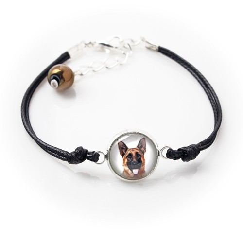 German shepherd dog alsatian - dog,,
