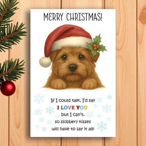 Norfolk terrier christmas card - norfolk,