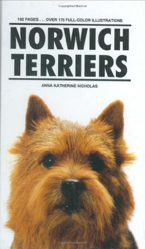 Norwich terriers nicholas - terriers,