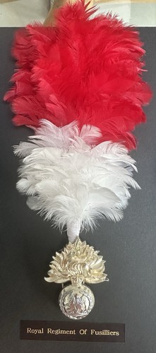 Royal regiment fusiliers - regiment,