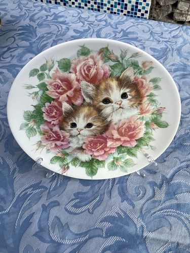 Kitten vintage collectors - vintage,