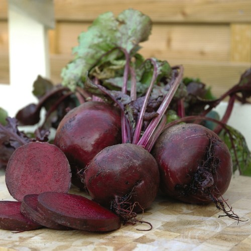 Thompson morgan beetroot - thompson,