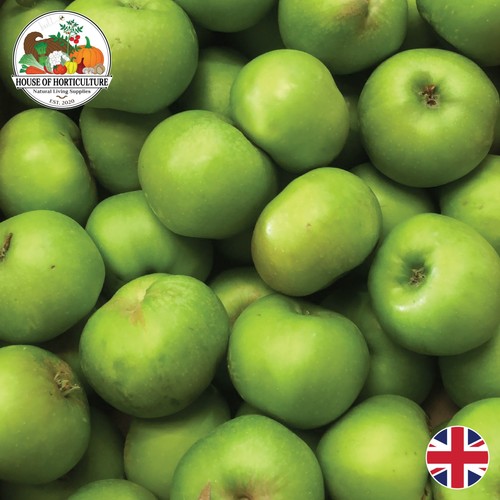 Fresh british bramley apples - fresh,
