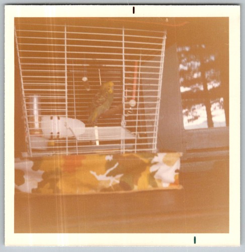 Vtg color snapshot yellow - snapshot,