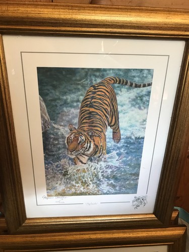 Stephen gayford signed limited - gayford,