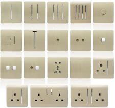 Trendi Switch Decorative Light