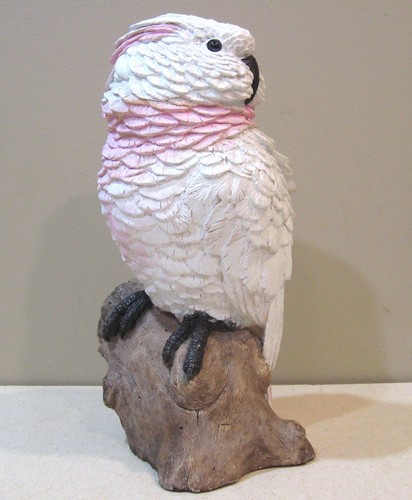 Vintage mollucan cockatoo - "mollucan, cockatoo"