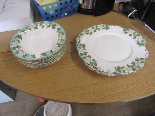 Montrose gladstone bone china - bone,
