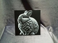 Dwarf Rabbit