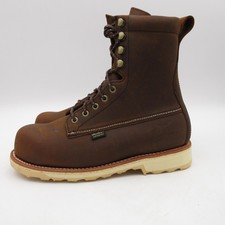 Irish Setter Red Wing