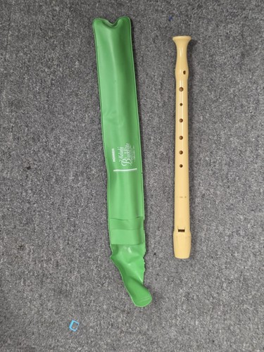 Vintage hohner melody - vintage,