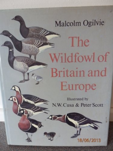 Wildfowl britain and - britain,