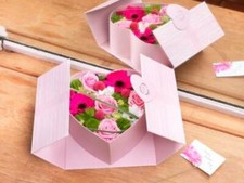 Oxford Lined Heart Shape Hat