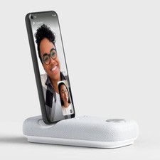 Rayz Rally Pro USB-Portable Bluetooth Speaker for Smartphone, USB-C Port-Refurb