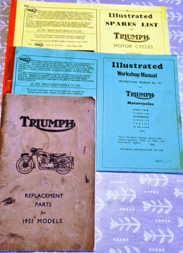Triumph tiger 100 trophy - tiger,